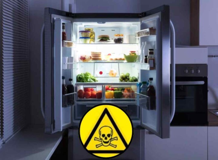 Sostanze tossiche in frigo